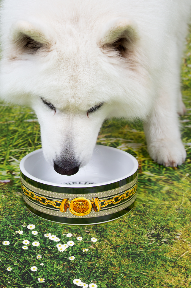TWO CHAINS Pet Bowl